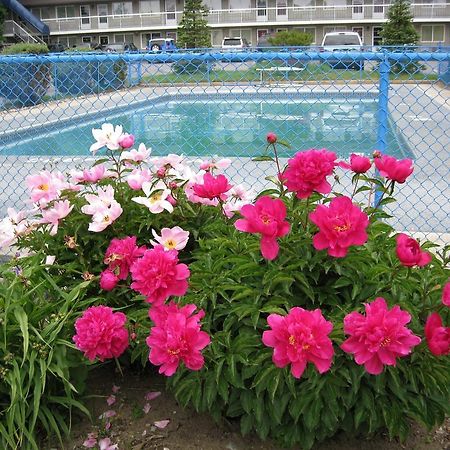 Grand Motel Toronto Exterior foto
